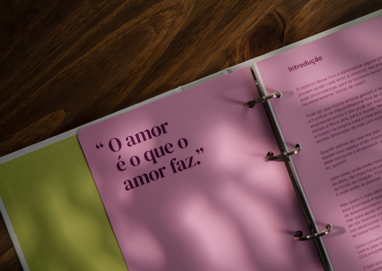 Parte interna do livro-planner "Questão de Ordem em Casa"